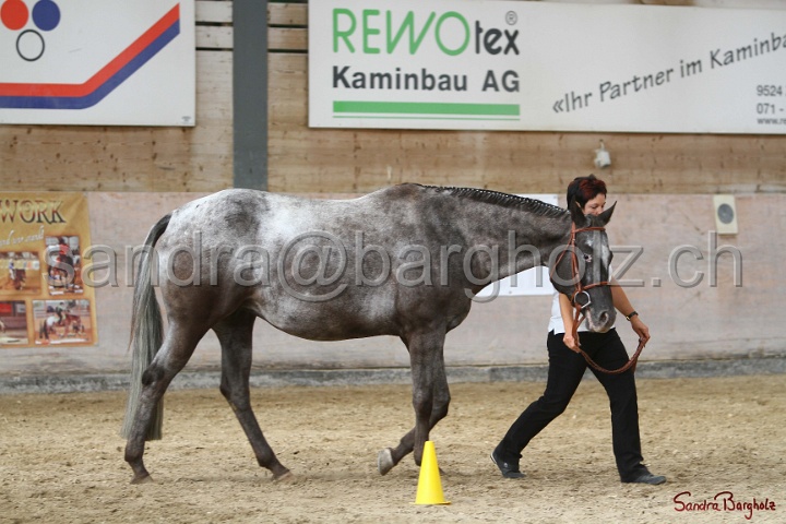 24-ApHC HIH_035.jpg